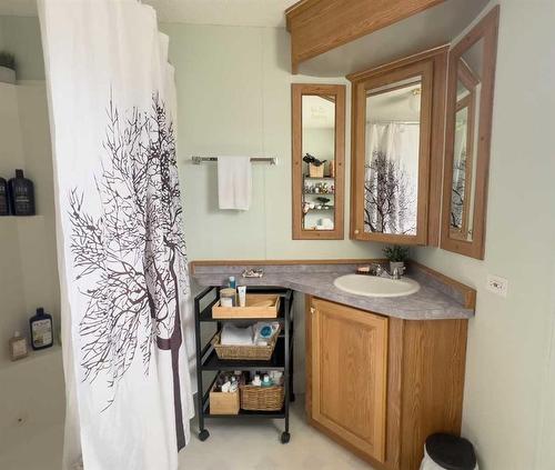 12217 98 Street, Grande Prairie, AB - Indoor Photo Showing Bathroom