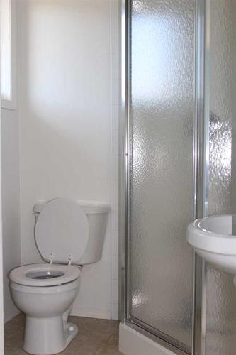 503 5Th Avenue Ne, Manning, AB - Indoor Photo Showing Bathroom