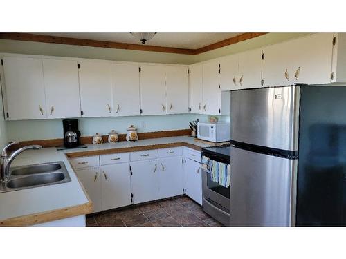 50010 733A Township, Rural Grande Prairie No. 1, County Of, AB - Indoor Photo Showing Kitchen With Double Sink