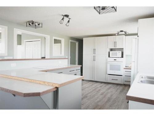 50010 733A Township, Rural Grande Prairie No. 1, County Of, AB - Indoor Photo Showing Kitchen With Double Sink