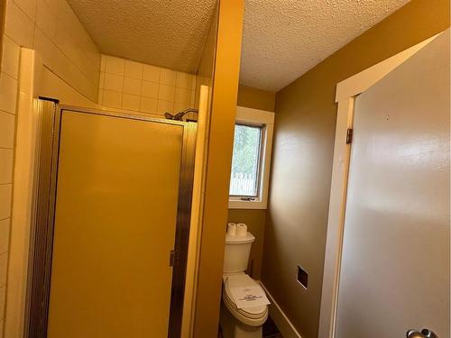5401 53 Street, Berwyn, AB - Indoor Photo Showing Bathroom