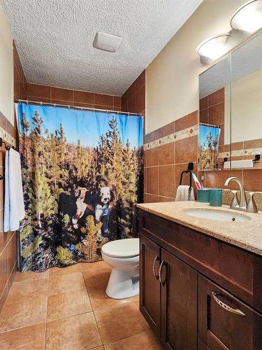 11034 Hoppe Avenue, Grande Cache, AB - Indoor Photo Showing Bathroom
