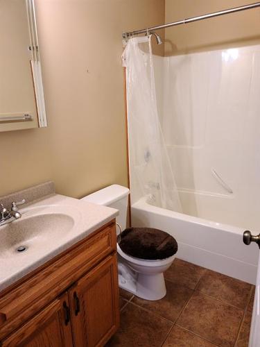 4508 47 Street, Grimshaw, AB - Indoor Photo Showing Bathroom
