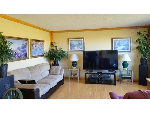 45063A 734 Township, Rural Grande Prairie No. 1, County Of, AB - Indoor Photo Showing Living Room