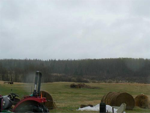 14119 774 Township, Rural Big Lakes County, AB - Outdoor With View
