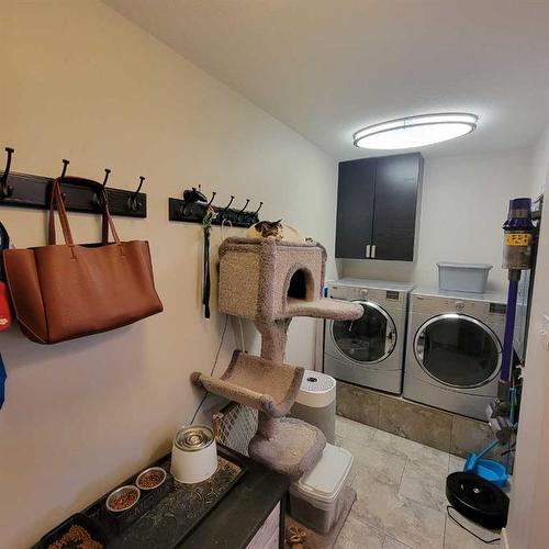 5304 54 Avenue, Grimshaw, AB - Indoor Photo Showing Laundry Room