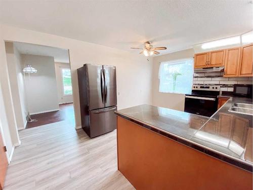 4823 46 Avenue, Spirit River, AB - Indoor Photo Showing Kitchen With Double Sink