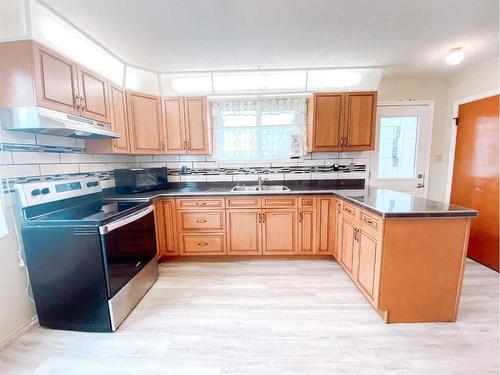 4823 46 Avenue, Spirit River, AB - Indoor Photo Showing Kitchen With Double Sink