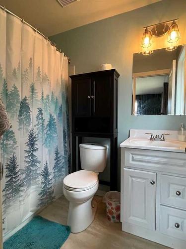 72338 Rge Rd 224, Rural Greenview No. 16, M.D. Of, AB - Indoor Photo Showing Bathroom