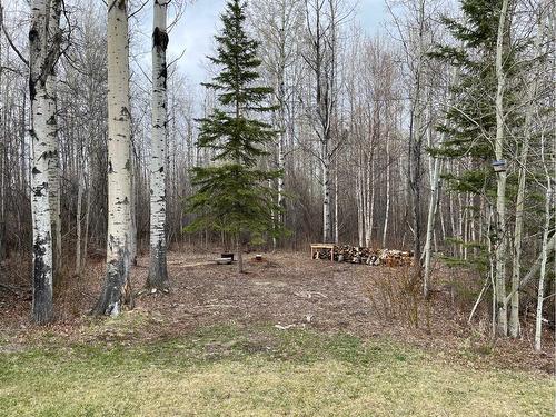 72338 Rge Rd 224, Rural Greenview No. 16, M.D. Of, AB - Outdoor With View