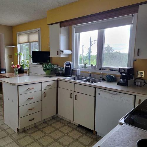 11719 103 Street, Peace River, AB - Indoor Photo Showing Kitchen With Double Sink