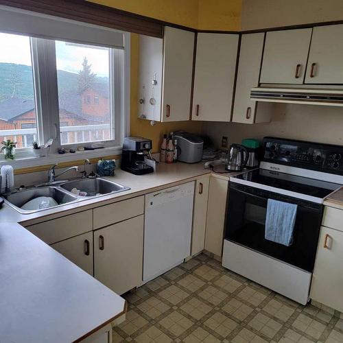 11719 103 Street, Peace River, AB - Indoor Photo Showing Kitchen With Double Sink