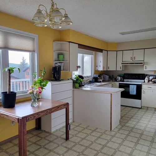 11719 103 Street, Peace River, AB - Indoor Photo Showing Kitchen