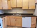 215-160 Moberly Road, Grande Cache, AB  - Indoor Photo Showing Kitchen With Double Sink 
