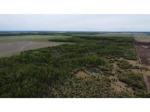 Ne/25/83/12/ W6, Rural Clear Hills County, AB - Outdoor With View