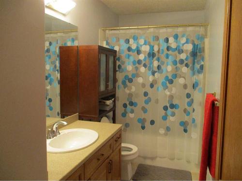 220037-692 Road East, Rural Northern Lights, County Of, AB - Indoor Photo Showing Bathroom