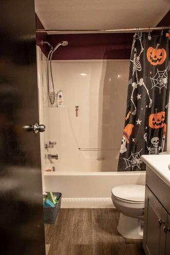 9805 108 Street, High Level, AB - Indoor Photo Showing Bathroom