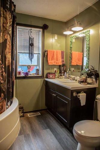 9805 108 Street, High Level, AB - Indoor Photo Showing Bathroom