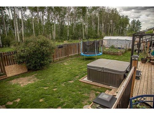 9805 108 Street, High Level, AB - Outdoor With Deck Patio Veranda With Backyard