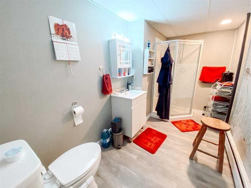 4431 45A Avenue, Rycroft, AB - Indoor Photo Showing Bathroom