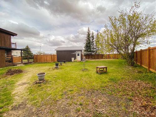 4431 45A Avenue, Rycroft, AB - Outdoor With Backyard