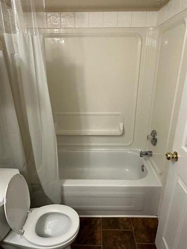 10036 107 Avenue, Grande Prairie, AB - Indoor Photo Showing Bathroom