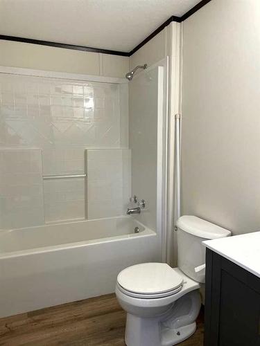 20 Dogwood Avenue, High Level, AB - Indoor Photo Showing Bathroom