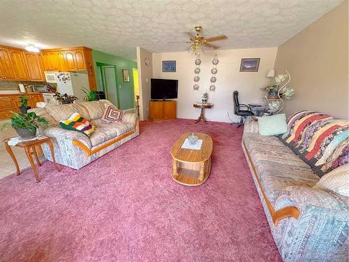 13077 Twp Rd 791, Rural Saddle Hills County, AB - Indoor Photo Showing Living Room