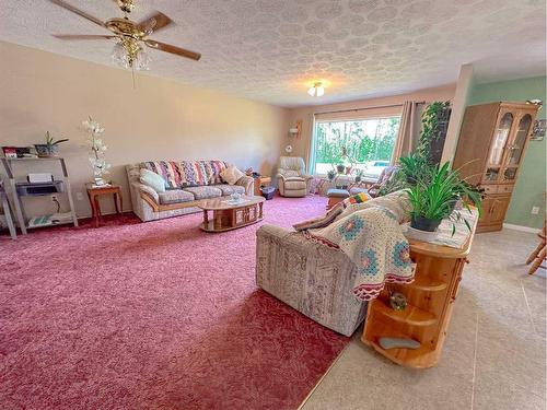 13077 Twp Rd 791, Rural Saddle Hills County, AB - Indoor Photo Showing Living Room