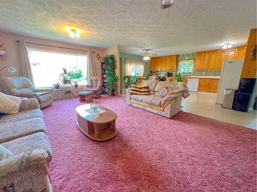 13077 Twp Rd 791, Rural Saddle Hills County, AB - Indoor Photo Showing Living Room