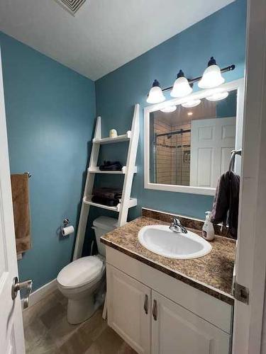 37 Bjornson Avenue, High Level, AB - Indoor Photo Showing Bathroom
