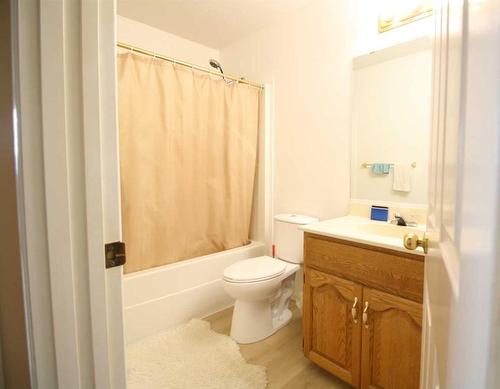 10317 106 Street, High Level, AB - Indoor Photo Showing Bathroom