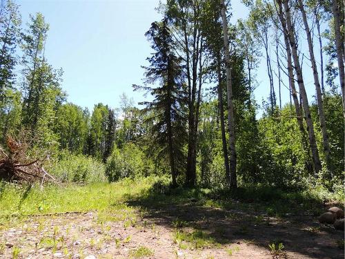 37-692059 Rge Rd 104A Wapiti River, Rural Grande Prairie No. 1, County Of, AB - Outdoor With View