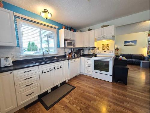 5202 43 Avenue, Grimshaw, AB - Indoor Photo Showing Kitchen With Double Sink