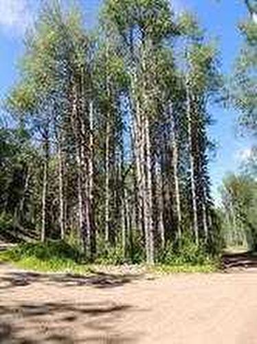 Lot #7 Wapiti River Sw-21-69-10-W6, Rural Grande Prairie No. 1, County Of, AB 