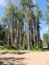 Lot #7 Wapiti River Sw-21-69-10-W6, Rural Grande Prairie No. 1, County Of, AB 