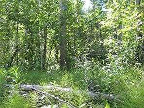 Lot #7 Wapiti River Sw-21-69-10-W6, Rural Grande Prairie No. 1, County Of, AB 