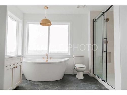 10706 150 Avenue, Rural Grande Prairie No. 1, County Of, AB - Indoor Photo Showing Bathroom