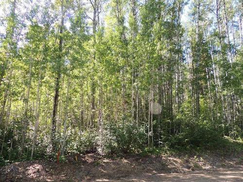 Lot #11 Wapiti River Sw-21-69-10-W6, Rural Grande Prairie No. 1, County Of, AB 