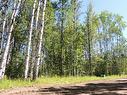 Lot #20 Wapiti River Sw-21-69-10-W6, Rural Grande Prairie No. 1, County Of, AB 