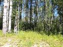 Lot #20 Wapiti River Sw-21-69-10-W6, Rural Grande Prairie No. 1, County Of, AB 