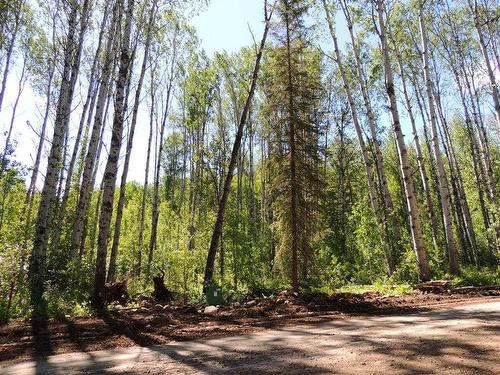 Lot #36 Wapiti River Sw-21-69-10-W6, Rural Grande Prairie No. 1, County Of, AB 