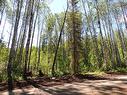 Lot #36 Wapiti River Sw-21-69-10-W6, Rural Grande Prairie No. 1, County Of, AB 