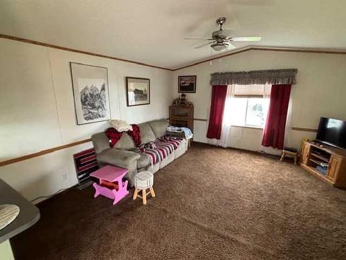 4617 53 Avenue, Grimshaw, AB - Indoor Photo Showing Living Room