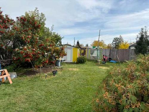 4617 53 Avenue, Grimshaw, AB - Outdoor With Backyard