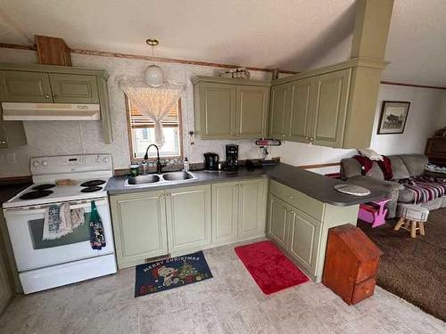 4617 53 Avenue, Grimshaw, AB - Indoor Photo Showing Kitchen With Double Sink