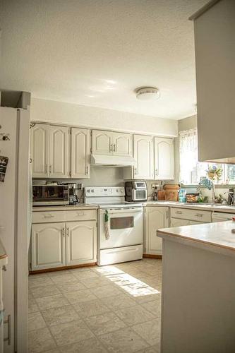 10403 108 Avenue, High Level, AB - Indoor Photo Showing Kitchen