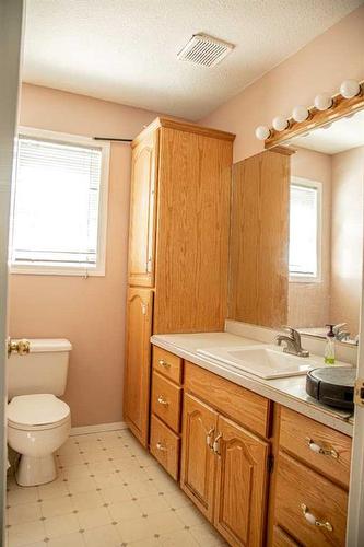 10403 108 Avenue, High Level, AB - Indoor Photo Showing Bathroom