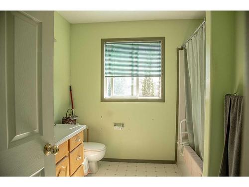 10403 108 Avenue, High Level, AB - Indoor Photo Showing Bathroom