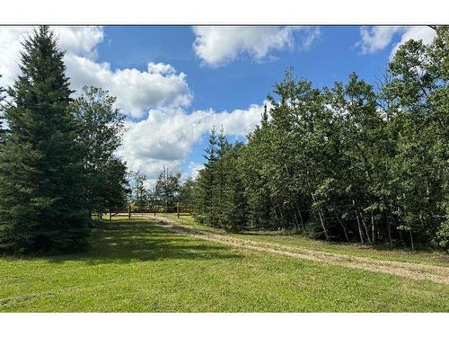 822025 Rr20, Rural Fairview No. 136, M.D. Of, AB - Outdoor With View